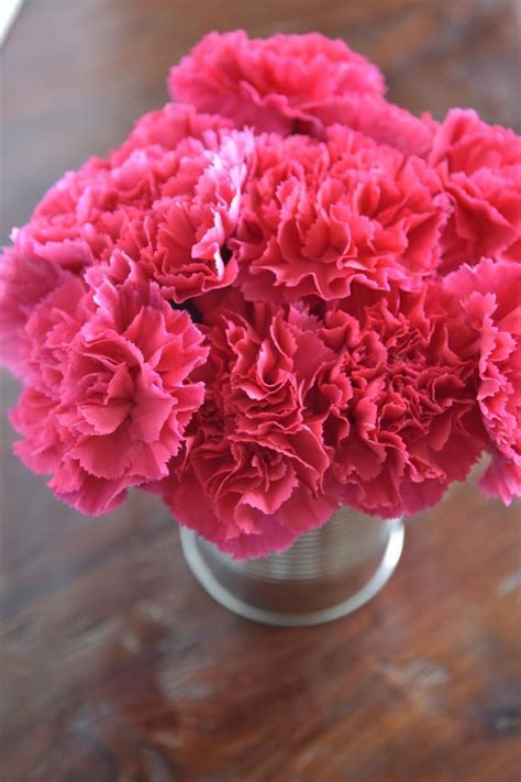 Its No Secret That Carnations Are Affordable And Easy To Find The Key