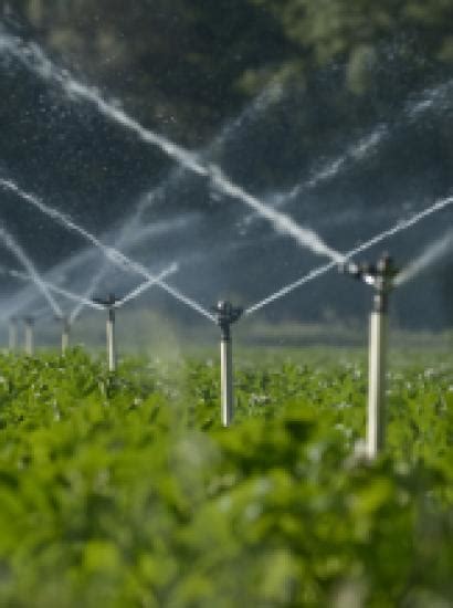 Water Policy Reform Economic Policy Challenges Facing Californias