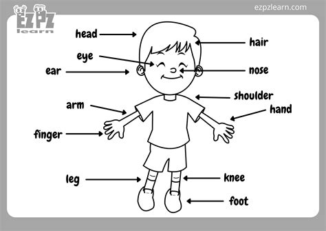 Body Parts Coloring Page