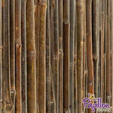 See more ideas about bamboo garden, backyard, outdoor gardens. Pin by Exeter Landscapes on Small garden ideas | Bamboo fence, Fence screening, Black bamboo