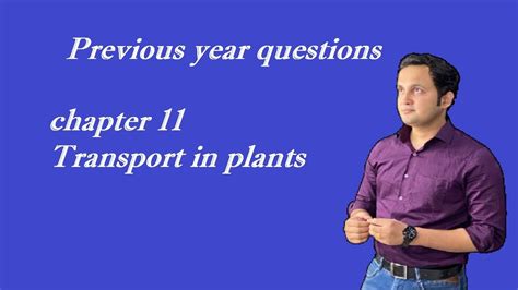Previous Year Questions Transport In Plants NEET BIOLOGY YouTube