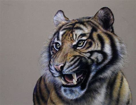 Roaring Tiger 2017 Pastel Drawing By Tatjana Bril Pastel Drawing Drawings Cool Drawings