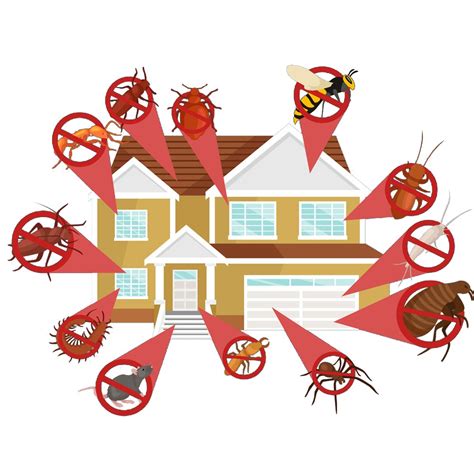 Who You Gonna Call A Quick Guide To Home Infestation Management