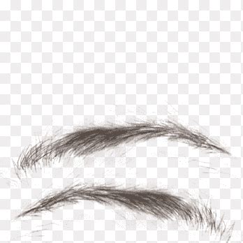 Eyebrow Png Images PNGEgg