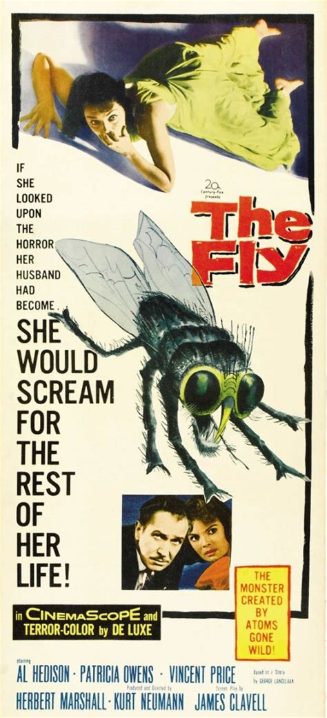 The Fly 1958 Help Me Hubpages