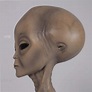 Alien - Roswell Sculptures In Australia