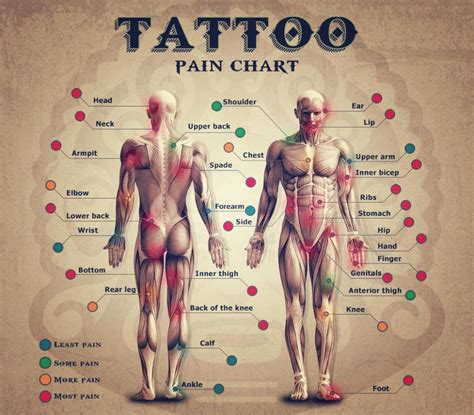 The best shoulder tattoos can be awesome, stylish, and for example, shoulder tattoos can extend from the deltoid to the trap on either the left or right side. The Tattoo World