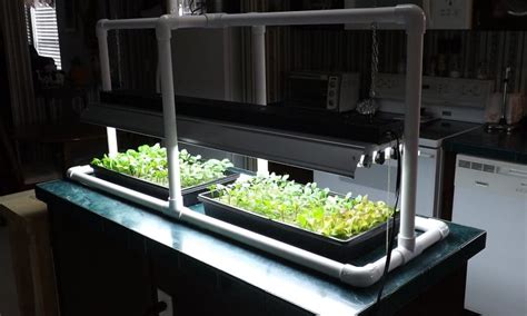 Guide To Diy Led Grow Lights Thefragrantgarden