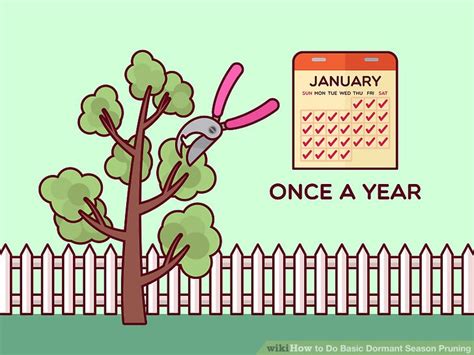 How To Do Basic Dormant Season Pruning 14 Steps With Pictures