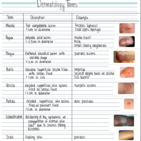 Dermatology Skin Conditions 2 Pages Printable Pdf Immediate Etsy