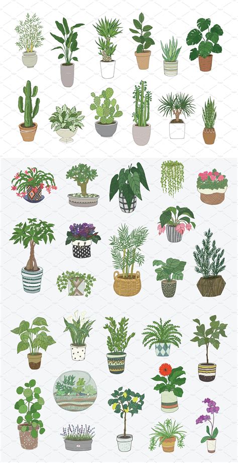A Bunch Of Potted Plants Are Shown In Different Colors And Sizes
