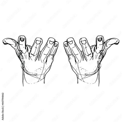Two Raised Up Human Empty Hands With Open Fingers In Releasing Gesture Front View Hand Drawn