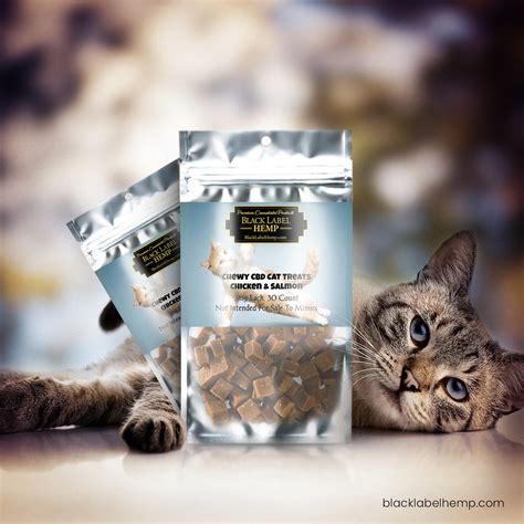 Cbd cat treats resemble regular cat treats. Chewy CBD Cat Treats | CBD For Cats