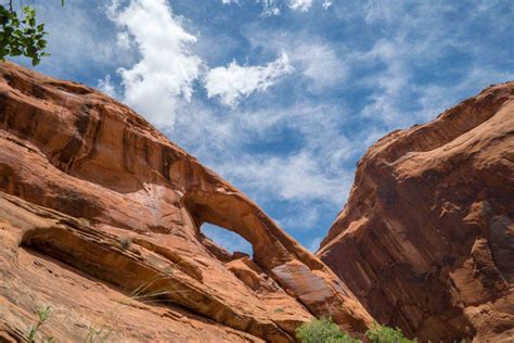 How To Hike Coyote Gulch In Grand Staircase Escalante In One Day Grand