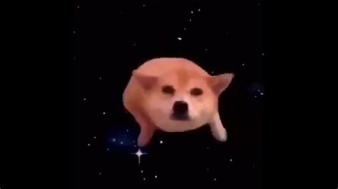 Space Doggo Youtube