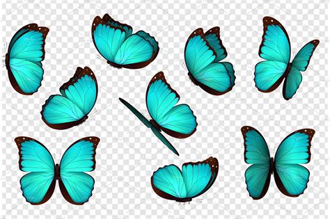 Butterfly Vector Illustration Animal Illustrations ~ Creative Market