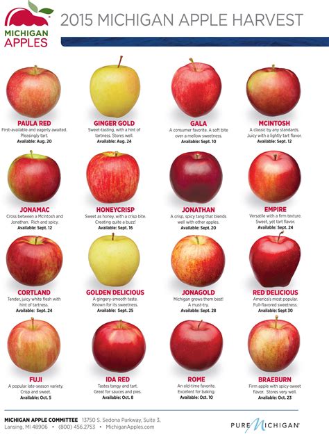 2015 Michigan Apple Harvest Dates - MichiganApples.com | Apple