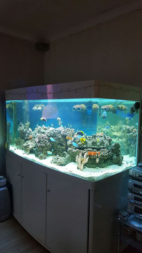 Here Is Another Picture That Andre Sent Us Of Her 950 Litre Marine Tank