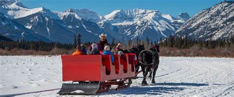 Banff Sleigh Rides Banff Trail Riders Official Website
