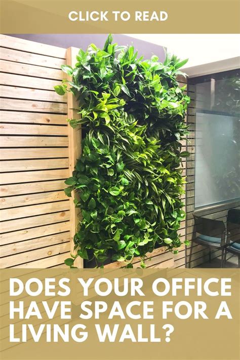 Does Your Office Have The Right Space For A Greenwall Checklist