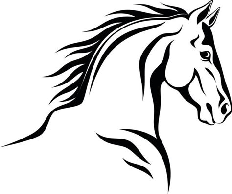 Best Baby Horse Illustrations Royalty Free Vector Graphics And Clip Art