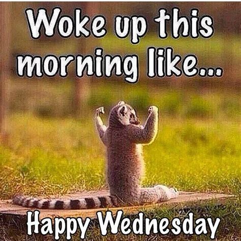 36 Funny Happy Wednesday Memes Good Morning Funny Funny Wednesday