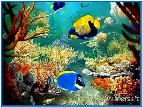 Tropical Fish 3d Screensaver Download Screensaversbiz
