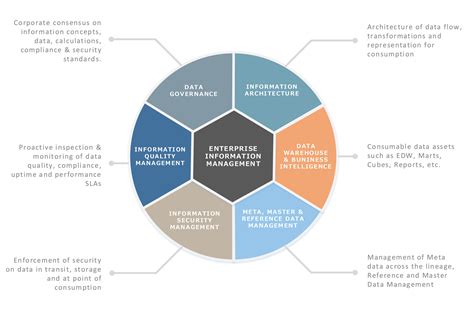 Enterprise Information Management