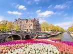 Amsterdam, Netherlands Travel Guides for 2023 - Matador
