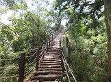 大坑登山步道夯 中市府续投入经费整修 - 生活 - 中时