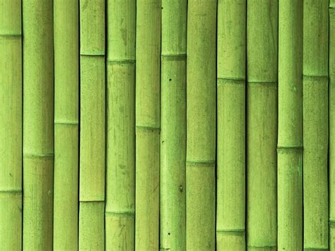 Photo By Lwna Lwna Bamboo Wallpaper Bamboo Wall Textured Walls