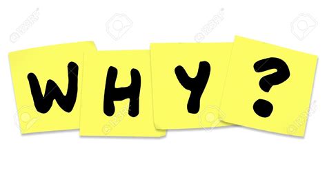 Reason The Word Why On Yellow Clipart Panda Free Clipart Images