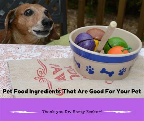 Marty pets' products are listed above. Choosing the Right Pet Foods: A Q&A with Dr. Marty Becker ...