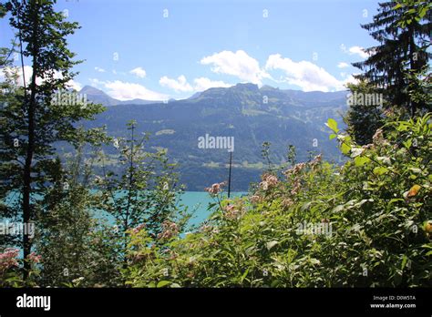Switzerland Europe Canton Bern Bernese Oberland Brienzersee Lake
