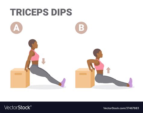 Girl Doing Triceps Dips Exercise For Home Workout Vector Image