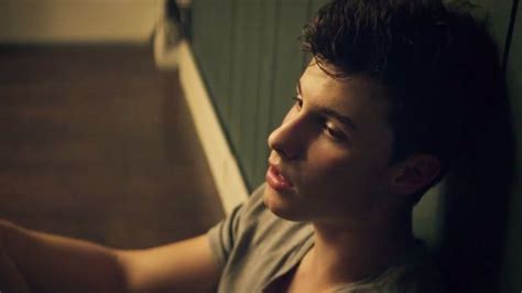 Shawn Mendes Releases New Music Video For Treat You Better