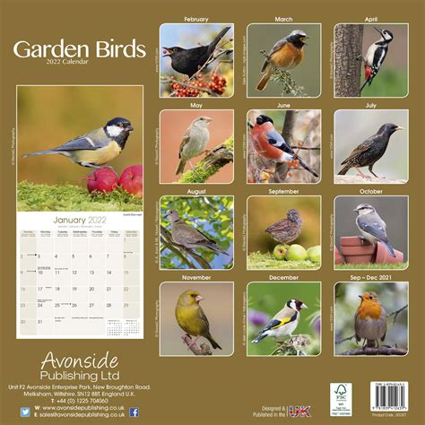 Garden Birds Calendar Animal Calendars Pet Prints Inc