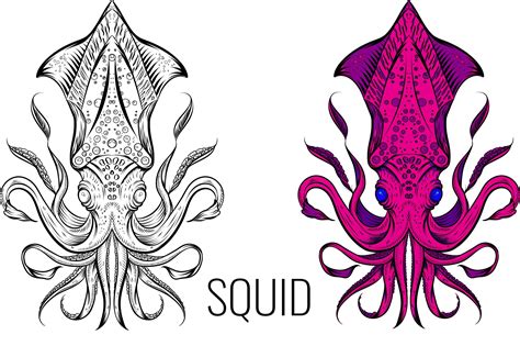 Squid Logo ~ Illustrations ~ Creative Market
