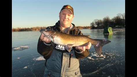 Including virtuavet's advice for catching an uncatchable cat. How to Catch Catfish Ice Fishing - YouTube