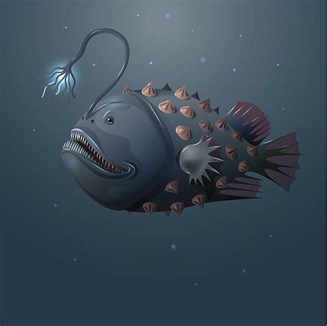 Anglerfish Illustrations Royalty Free Vector Graphics And Clip Art Istock