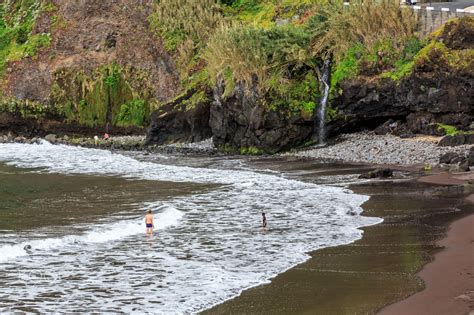 Jump to navigation jump to search. Let's go for a swim. - Seixal Beach, Madeira Island ...