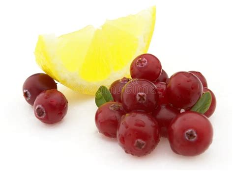 Lemon With Cranberry Stock Image Image Of Drop Peel 13406913