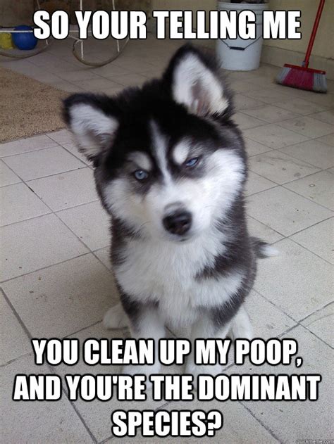 So Your Telling Me You Clean Up My Poop And Youre The Dominant Species Skeptical Newborn