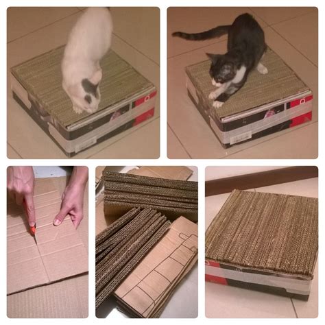 Diy Cat Wall Scratcher From The Ground
