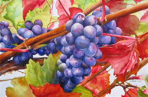Lynn Miller Watercolor Grapes At The Winery Grapes Watercolor
