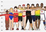 These are the body types that get you to the Olympics - AOL News