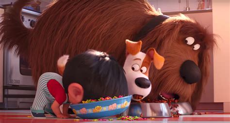 ‘the Secret Life Of Pets 2 Review A Silly And Sweet Sequel Indiewire