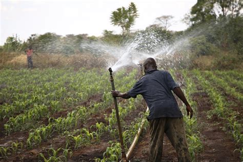 Irrigation earns flood-prone farmers US$4,344 a hectare - Sub-Saharan Africa