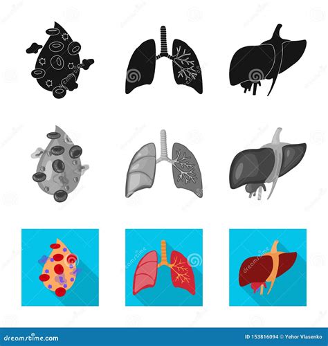 Isolated Object Of Biology And Scientific Logo Collection Of Biology