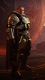 Lord Saladin | Fantasy armor, Destiny fashion, Destiny